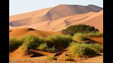 حديقة سيرينجيتي، تنزانيا