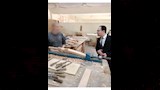 النيابة العامة تُجري تفتيشًا على مركز إصلاح وتأهيل أبي زعبل