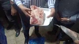 قطع دواجن 