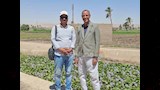 محرر مصراوي مع أحد المواطنين