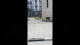 الانتهاء من تجهيز الساحات والمساجد بالإسكندرية (6)