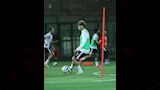 مران منتخب مصر استعدادًا لودية روسيا (10)