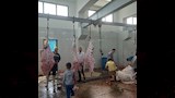 مجازر بني سويف