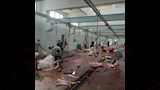 مجازر بني سويف