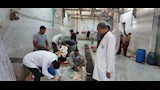 حملات بيطرية مكثفة بأسيوط (3)