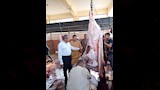 حملات بيطرية مكثفة بأسيوط (7)