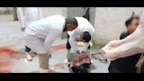 حملات بيطرية مكثفة بأسيوط (6)