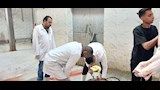 حملات بيطرية مكثفة بأسيوط (9)