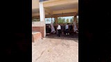 حملات بيطرية مكثفة بأسيوط (8)