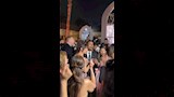 رومانسية تجمع محمد سامي ومي عمر في حفل زفاف نجل ادوارد (2)