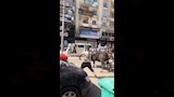 عجل هارب يقتحم محل ملابس في بني سويف (3)
