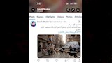 الكلاب الضالة (3)
