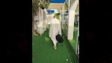 حجاج السياحة يستعدون للنفرة إلى مزدلفة (10)