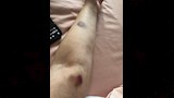 صور من اصابة راندا البحيري في ذراعها (1)