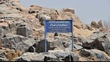محمية سالوجا وغزال