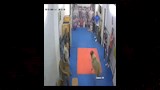 خروف يقتحم جيم