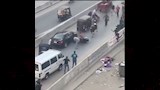 عجل هارب يُثير الهرج أعلى كوبري الشون بالمحلة