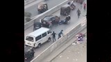 عجل هارب يُثير الهرج أعلى كوبري الشون بالمحلة