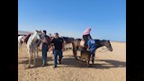 الاستمتاع بركوب الخيل