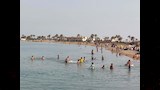 الشواطئ في اليد