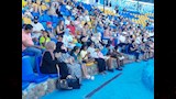 استمتاع السائحين بعروض الدولفن