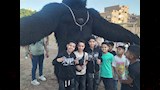 مراكز شباب أسيوط تتحول إلى ساحات فرح (11)