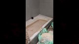 ضبط مخبز يغش رغيف الخبز بالفيوم (1)