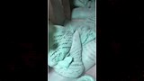 ضبط مخبز يغش رغيف الخبز بالفيوم (5)