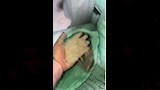ضبط مخبز يغش رغيف الخبز بالفيوم (6)