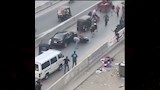 مطاردات طريفة للمواشي الهاربة قبل الذبح بالمحافظات (1)