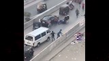 مطاردات طريفة للمواشي الهاربة قبل الذبح بالمحافظات (2)