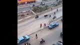مطاردات طريفة للمواشي الهاربة قبل الذبح بالمحافظات (5)