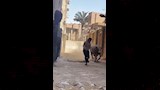 مطاردات طريفة للمواشي الهاربة قبل الذبح بالمحافظات (8)