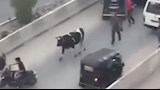 مطاردات طريفة للمواشي الهاربة قبل الذبح بالمحافظات (4)