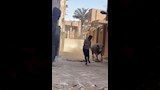 مطاردات طريفة للمواشي الهاربة قبل الذبح بالمحافظات (10)