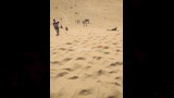 تسلق الجبال والتزلج على الرمال يجذبان شباب أسيوط (7)