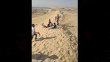 تسلق الجبال والتزلج على الرمال يجذبان شباب أسيوط (9)
