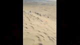تسلق الجبال والتزلج على الرمال يجذبان شباب أسيوط (12)