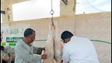 مدير بيطري أسوان يتابع ذبح الأضاحى بالمجان داخل المجازر -صور 