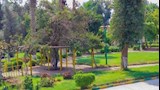 الأهرامات والقلعة والمتاحف.. أماكن تراثية للاستمتاع بالعيد (16)