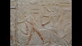 طقوس ذبح الذبائح وتقديم القرابين في مصر القديمة (2)