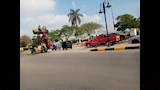 مجسم غوريلا يثير الجدل بالبحيره_4