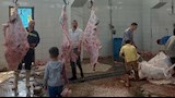 محافظ بني سويف يشهد ذبح الأضاحي (1)