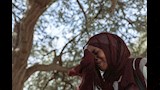 منى محمد (33 عاما) لاجئة سودانية فارة من الفاشر تبكي خلال مقابلة مع رويترز في مخيم إريديمي للاجئين شمال غرب مدينة إريبا بولاية وادي فيرا شرق تشا