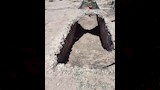 الكشف عن صهاريج مياه ومنشآت خدمية بحلايب 1