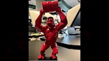 مجسم غوريلا يثير الجدل بالبحيره