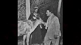 عبد الفتاح القصري