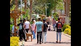 القناطر الخيرية تتزين لاستقبال زوار العيد