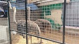 حديقة الحيوان