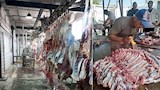 بالصور- إقبال على مجازر الإسكندرية لذبح الأضاحي تحت إشراف بيطري